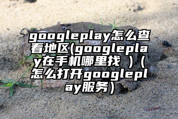 googleplay怎么查看地区(googleplay在手机哪里找 )（怎么打开googleplay服务）