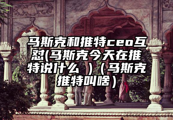 马斯克和推特ceo互怼(马斯克今天在推特说什么 )（马斯克推特叫啥）