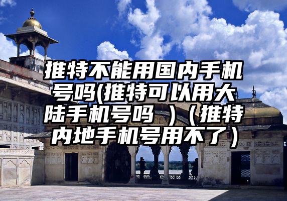 推特不能用国内手机号吗(推特可以用大陆手机号吗 )（推特内地手机号用不了）