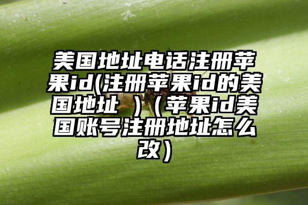 美国地址电话注册苹果id(注册苹果id的美国地址 )（苹果id美国账号注册地址怎么改）