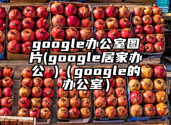 google办公室图片(google居家办公 )（google的办公室）