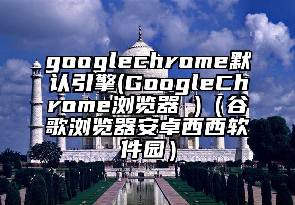 googlechrome默认引擎(GoogleChrome浏览器 )（谷歌浏览器安卓西西软件园）