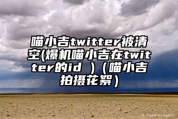 喵小吉twitter被清空(爆机喵小吉在twitter的id )（喵小吉拍摄花絮）