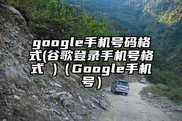 google手机号码格式(谷歌登录手机号格式 )（Google手机号）