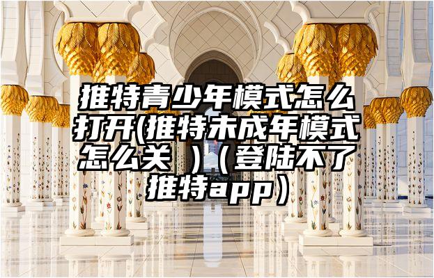 推特青少年模式怎么打开(推特未成年模式怎么关 )（登陆不了推特app）
