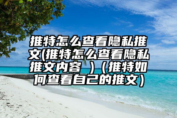 推特怎么查看隐私推文(推特怎么查看隐私推文内容 )（推特如何查看自己的推文）
