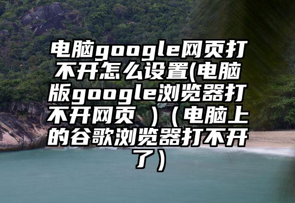 电脑google网页打不开怎么设置(电脑版google浏览器打不开网页 )（电脑上的谷歌浏览器打不开了）
