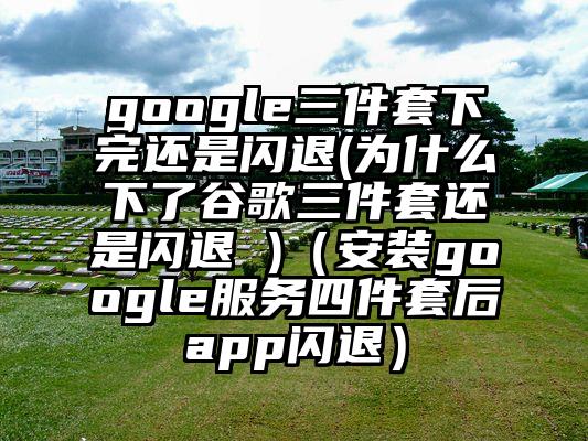 google三件套下完还是闪退(为什么下了谷歌三件套还是闪退 )(安装google服务四件套后app闪退)