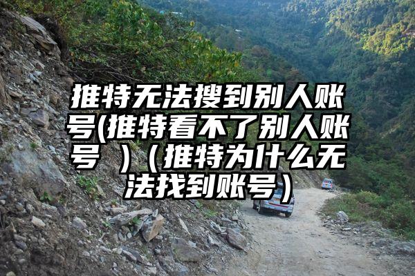 推特无法搜到别人账号(推特看不了别人账号 )（推特为什么无法找到账号）