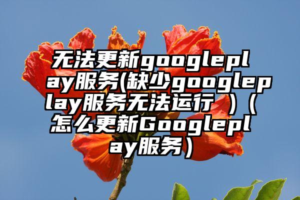无法更新googleplay服务(缺少googleplay服务无法运行 )（怎么更新Googleplay服务）