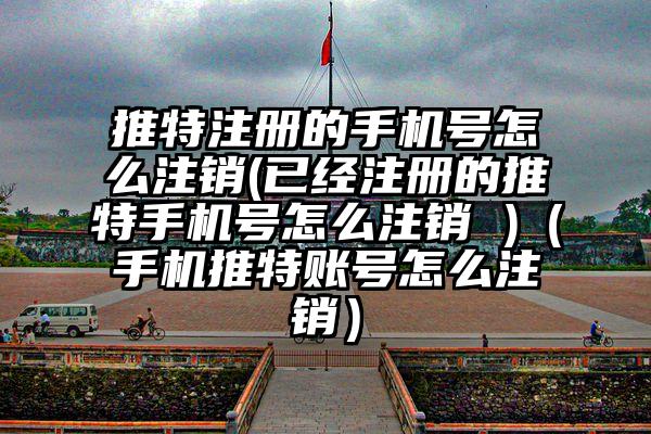 推特注册的手机号怎么注销(已经注册的推特手机号怎么注销 )（手机推特账号怎么注销）