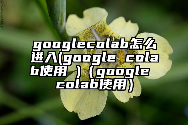 googlecolab怎么进入(google colab使用 )（google colab使用）