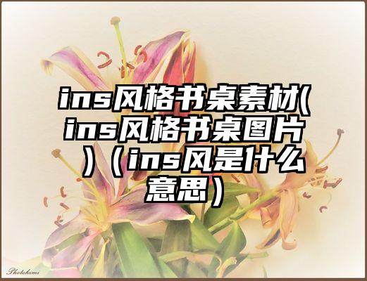 ins风格书桌素材(ins风格书桌图片 )（ins风是什么意思）
