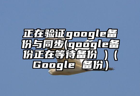 正在验证google备份与同步(google备份正在等待备份 )（Google 备份）