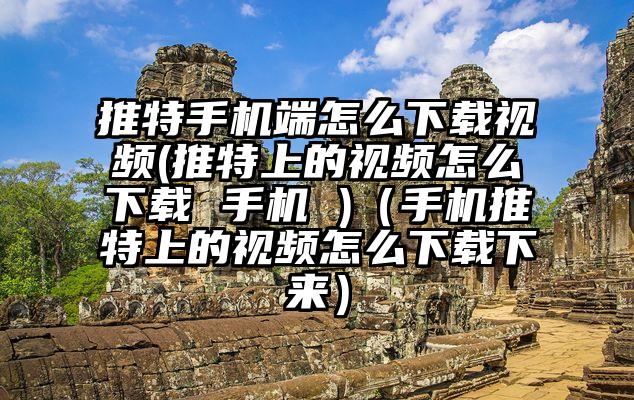 推特手机端怎么下载视频(推特上的视频怎么下载 手机 )（手机推特上的视频怎么下载下来）