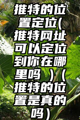 推特的位置定位(推特网址可以定位到你在哪里吗 )（推特的位置是真的吗）