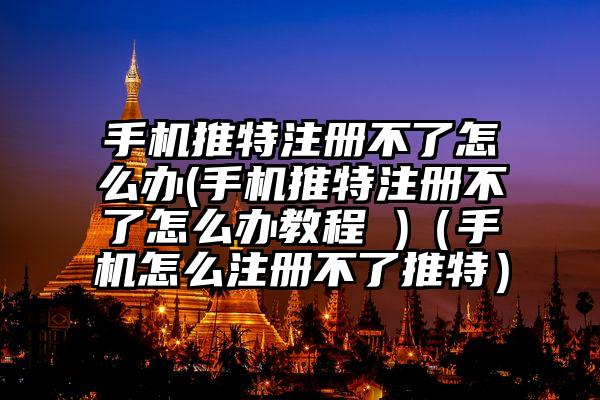 手机推特注册不了怎么办(手机推特注册不了怎么办教程 )（手机怎么注册不了推特）