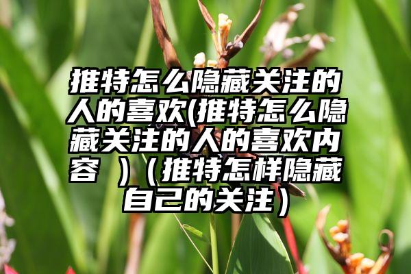 推特怎么隐藏关注的人的喜欢(推特怎么隐藏关注的人的喜欢内容 )（推特怎样隐藏自己的关注）