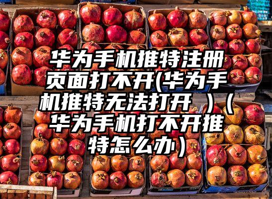华为手机推特注册页面打不开(华为手机推特无法打开 )（华为手机打不开推特怎么办）