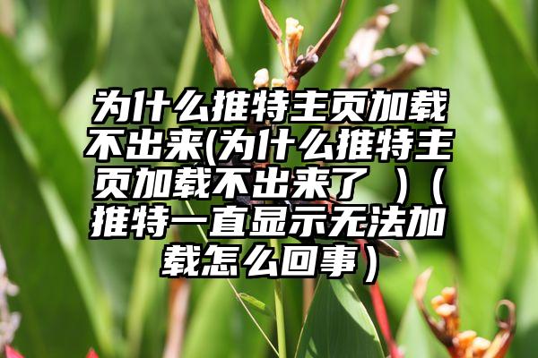为什么推特主页加载不出来(为什么推特主页加载不出来了 )（推特一直显示无法加载怎么回事）