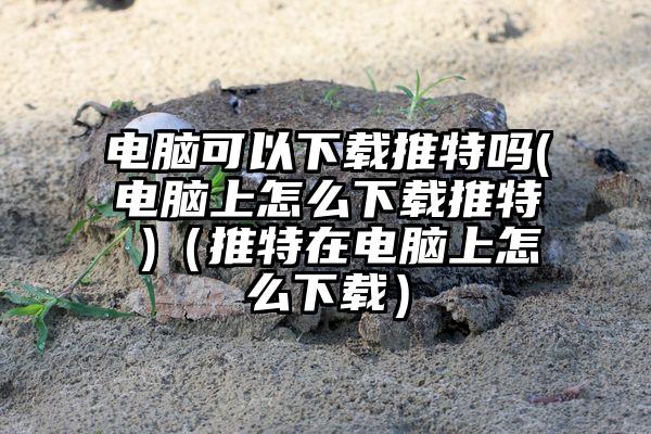电脑可以下载推特吗(电脑上怎么下载推特 )（推特在电脑上怎么下载）