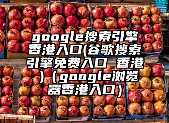 google搜索引擎香港入口(谷歌搜索引擎免费入口 香港 )（google浏览器香港入口）