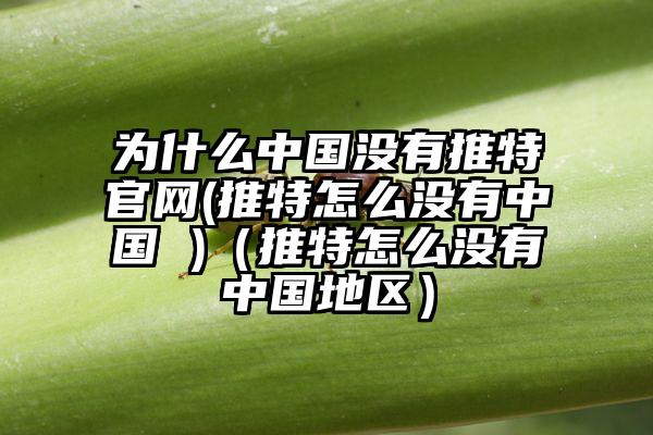 为什么中国没有推特官网(推特怎么没有中国 )（推特怎么没有中国地区）