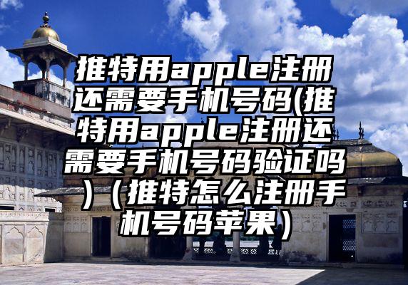 推特用apple注册还需要手机号码(推特用apple注册还需要手机号码验证吗 )（推特怎么注册手机号码苹果）