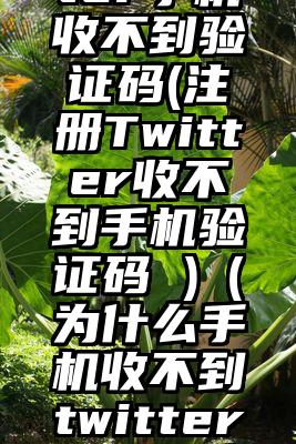 登陆twitter手机收不到验证码(注册Twitter收不到手机验证码 )（为什么手机收不到twitter验证码信息）