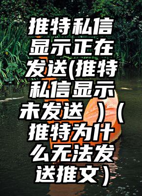 推特私信显示正在发送(推特私信显示未发送 )（推特为什么无法发送推文）