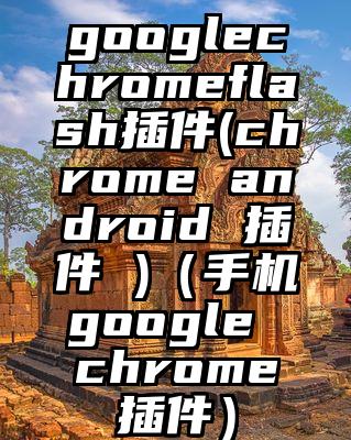 googlechromeflash插件(chrome android 插件 )（手机google chrome插件）
