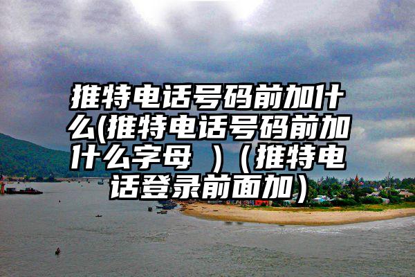 推特电话号码前加什么(推特电话号码前加什么字母 )(推特电话登录前面加)