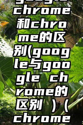 googlechrome和chrome的区别(google与google chrome的区别 )（chrome和goog