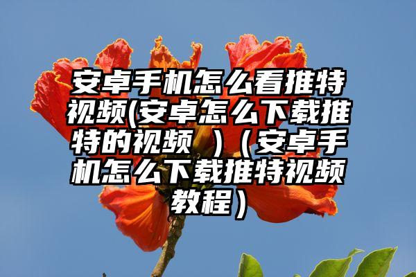 安卓手机怎么看推特视频(安卓怎么下载推特的视频 )（安卓手机怎么下载推特视频教程）