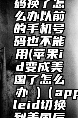 美国苹果id手机号码换了怎么办以前的手机号码也不能用(苹果id变成美国了怎么办 )(appleid切换到美国后改不回来)