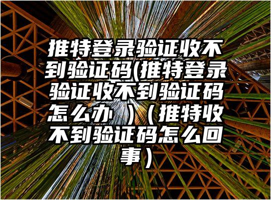 推特登录验证收不到验证码(推特登录验证收不到验证码怎么办 )（推特收不到验证码怎么回事）
