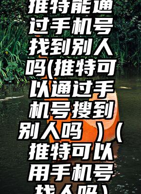 推特能通过手机号找到别人吗(推特可以通过手机号搜到别人吗 )（推特可以用手机号找人吗）