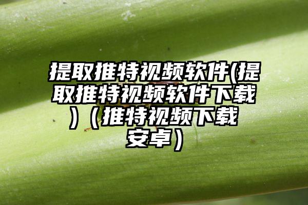 提取推特视频软件(提取推特视频软件下载 )（推特视频下载 安卓）