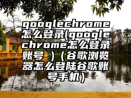 googlechrome怎么登录(googlechrome怎么登录账号 )（谷歌浏览器怎么登陆谷歌账号手机）