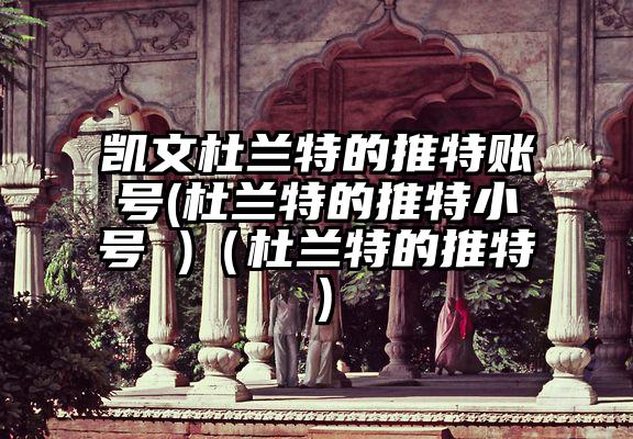 凯文杜兰特的推特账号(杜兰特的推特小号 )(杜兰特的推特)