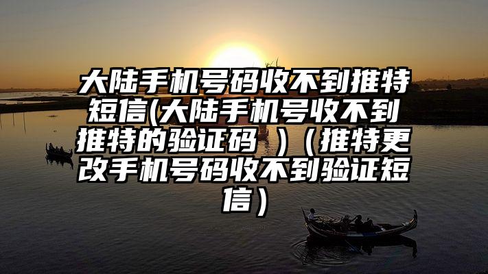 大陆手机号码收不到推特短信(大陆手机号收不到推特的验证码 )（推特更改手机号码收不到验证短信）