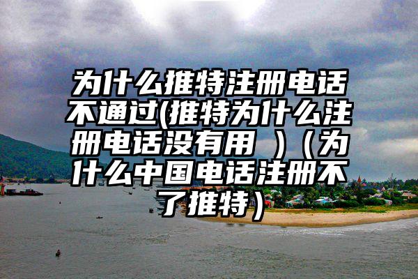 为什么推特注册电话不通过(推特为什么注册电话没有用 )(为什么中国电话注册不了推特)
