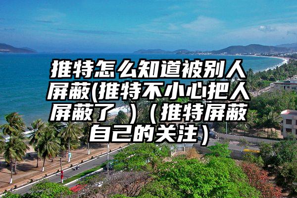 推特怎么知道被别人屏蔽(推特不小心把人屏蔽了 )（推特屏蔽自己的关注）