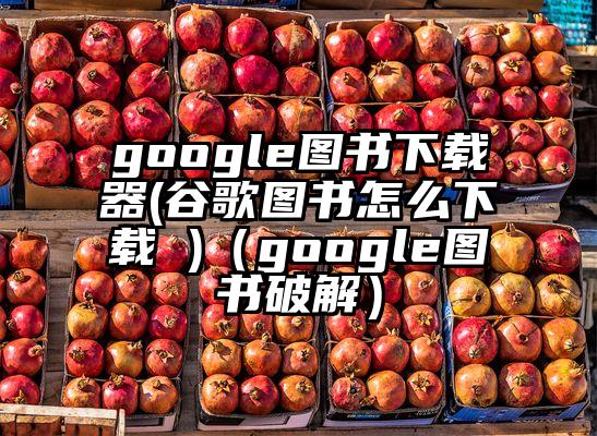 google图书下载器(谷歌图书怎么下载 )（google图书破解）