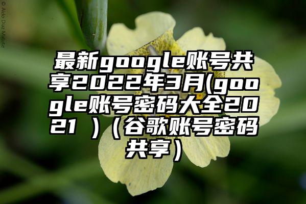 最新google账号共享2022年3月(google账号密码大全2021 )（谷歌账号密码共享）