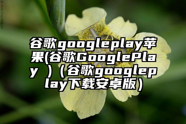谷歌googleplay苹果(谷歌GooglePlay )(谷歌googleplay下载安卓版)