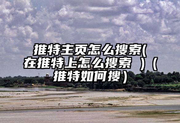 推特主页怎么搜索(在推特上怎么搜索 )（推特如何搜）
