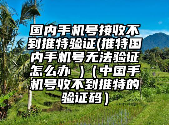 国内手机号接收不到推特验证(推特国内手机号无法验证怎么办 )（中国手机号收不到推特的验证码）