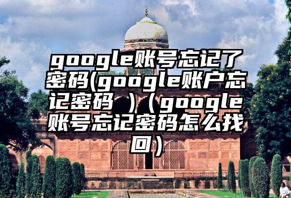 google账号忘记了密码(google账户忘记密码 )（google账号忘记密码怎么找回）