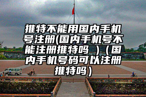 推特不能用国内手机号注册(国内手机号不能注册推特吗 )（国内手机号码可以注册推特吗）
